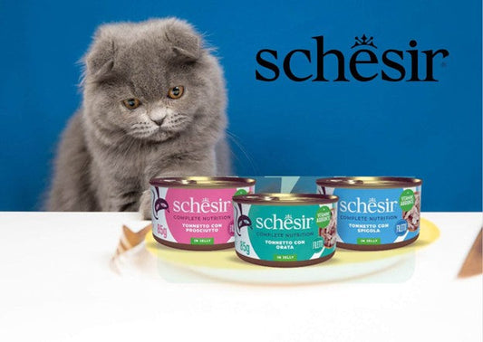 اكل قطط شيزر فيليه الدجاج الفوائد والمميزات التي تجعل قطتك أكثر صحة وسعادة - متجر كيتي