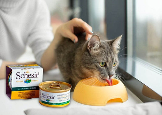 ما هي معلبات شيزر للقطط ولماذا تُعد خيارًا صحيًا ومميزًا لقطتك؟