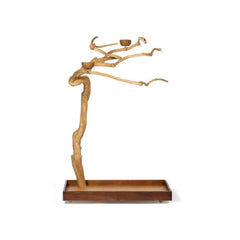 بريفيو بيت شجرة القهوة ستاند خشبي للببغاء مع قاعدة أرضية