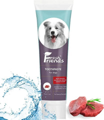 فريش فريندز معجون اسنان للكلاب نكهة اللحم البقري 90غ