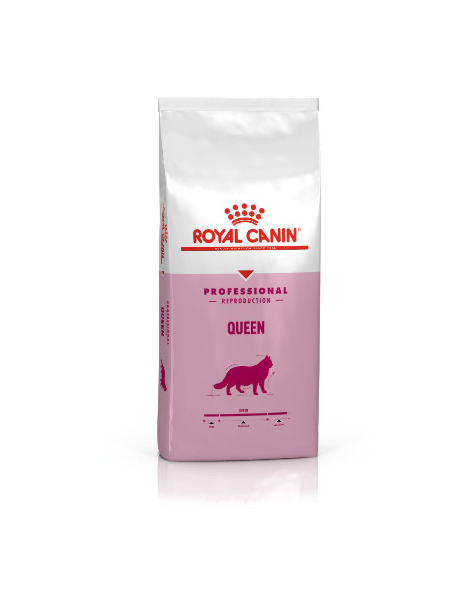 رويال كانين 4 كيلو بروفشنل كوين طعام جاف للقطط الحامل والمرضعة