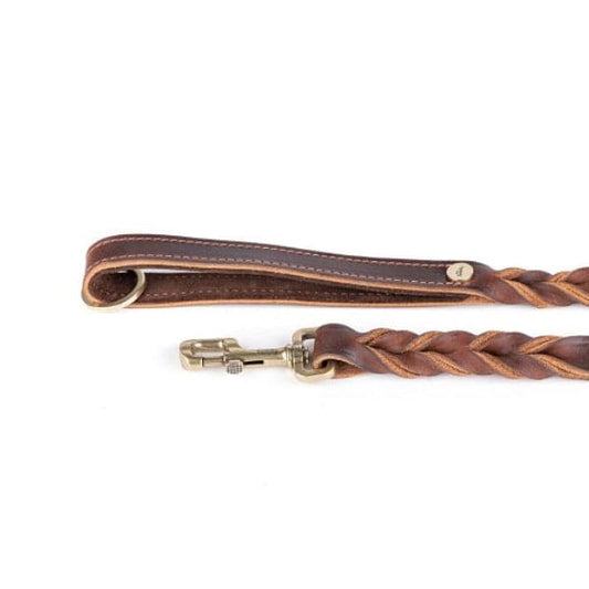 My Family Ascot Brown Leather Collar