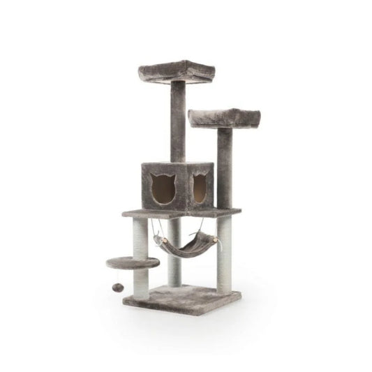 بريفيو بيت خداشة دورين مع سريرين وبيت للقطط