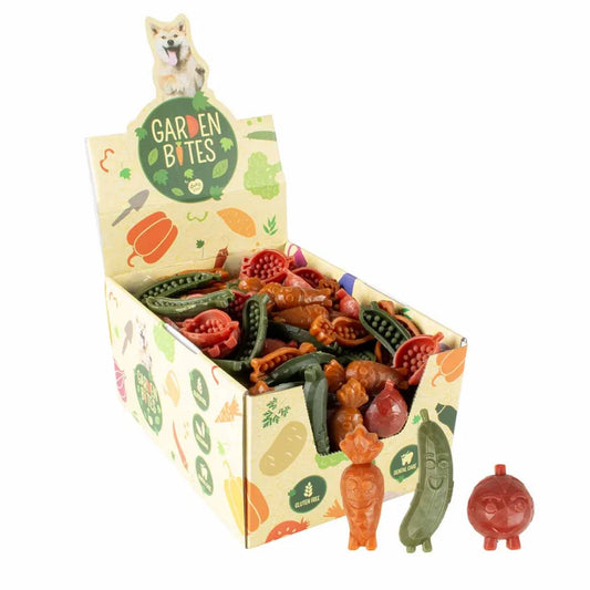 عرض "جاردن بايتس فيجي باديز"