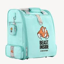 Best Inside Robin Cat Carrier