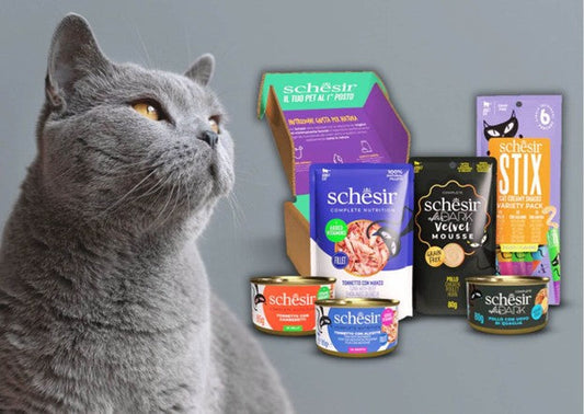 اكل قطط رطب شيزر