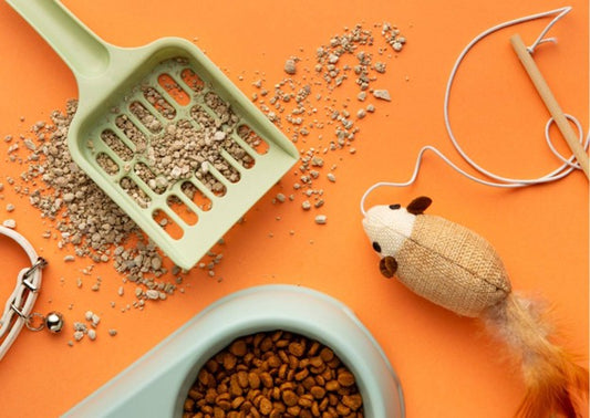 مستلزمات القطط