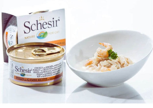 أفضل أكل قطط