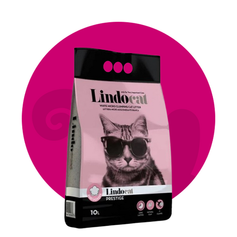 رمل ومستلزماته