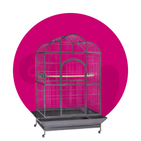 Cages and accessories for birds