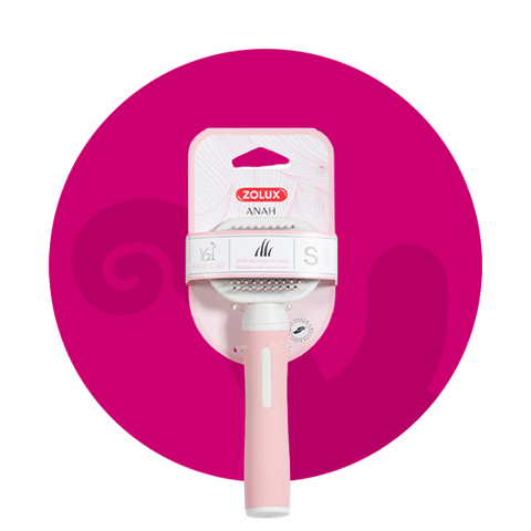 العناية والجمال للقطط