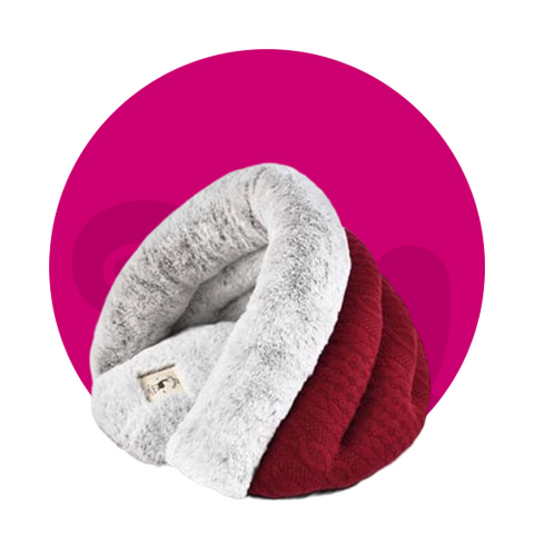 مستلزمات القطط