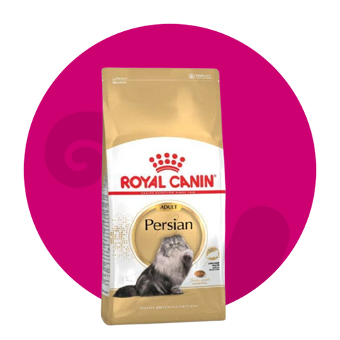 طعام جاف قطط