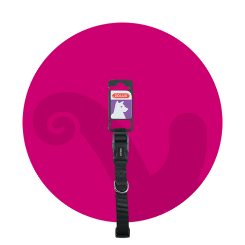 اطواق الكلاب