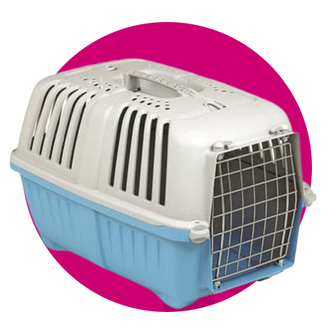 الأسرة والنواقل