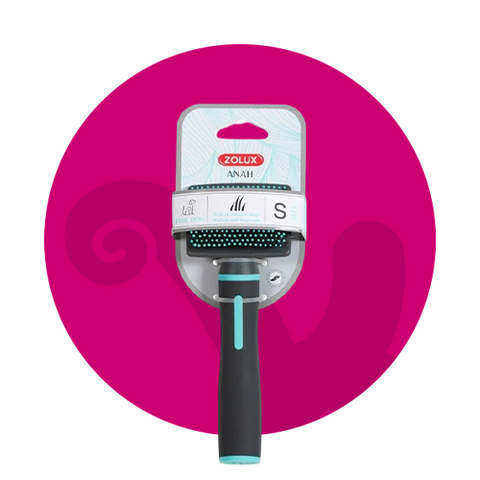 العناية والنظافة الكلاب