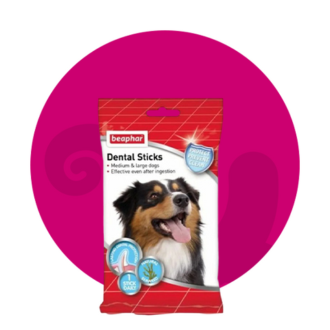 مكافئات الكلاب