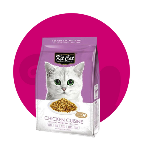 طعام ومكافات القطط