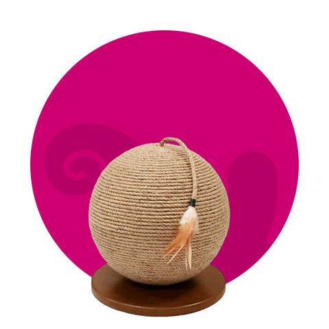 العاب القطط