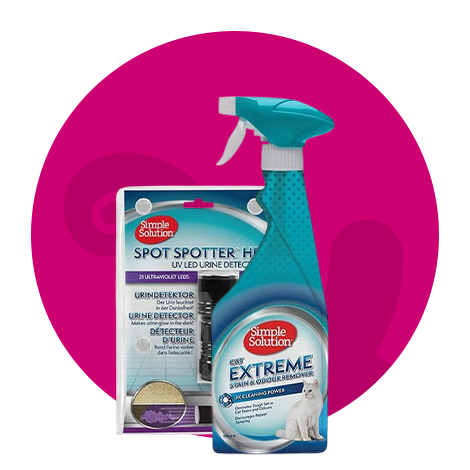 التدريب والتنظيف