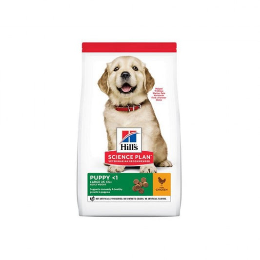 Hills Dry Food with Chicken for Large Breed Puppies 16kg 