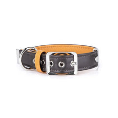 My Family Heritage Brown and Beige Leather Collar Medium 45x2.2cm