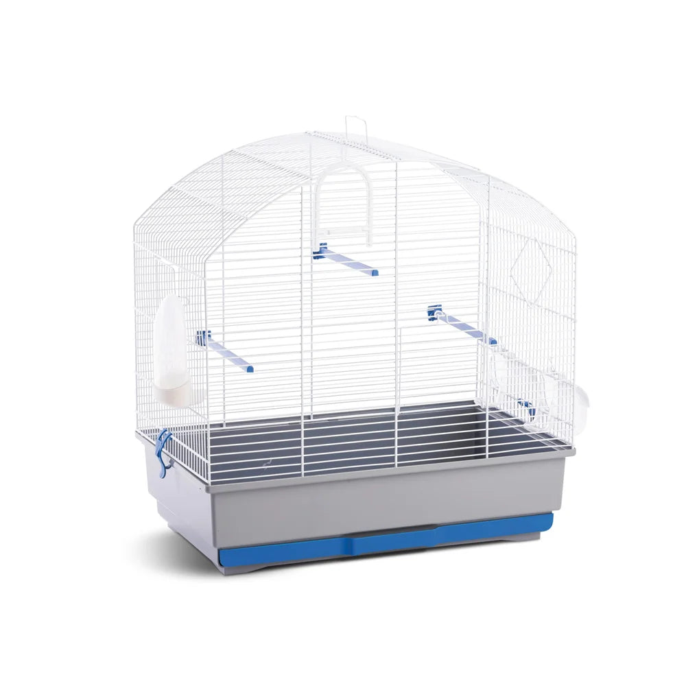 MPS FOB Colorful Bird Cage - Medium