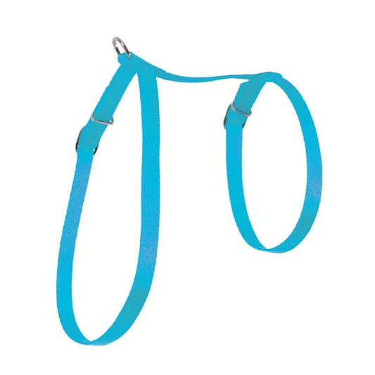 Zolux Nylon Cat Harness 10mm - Turquoise