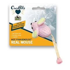 Our Pets Purple Mouse Game