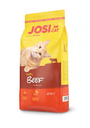 Juicy Cat Dry Food for Adult Cats Meat Flavor