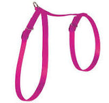 Zolux Nylon Cat Harness 10mm - Purple