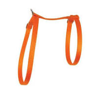 Zolux Nylon Cat Harness 10mm - Orange