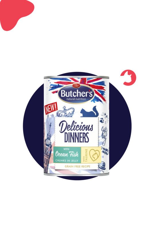 Butcher's Delicious Dinner Salmon Trout Chunks in Jelly 400g 